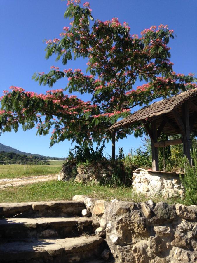 Les Patins A Roulottes Villa Yenne Buitenkant foto